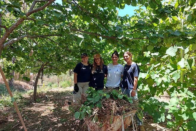 Volunteers from Hashomer HaChadash's Alexander Zaid youth leadership program rebuild the forest of Kfar Aza near the border with the Gaza Strip. Credit: Courtesy of Hashomer HaChadash.