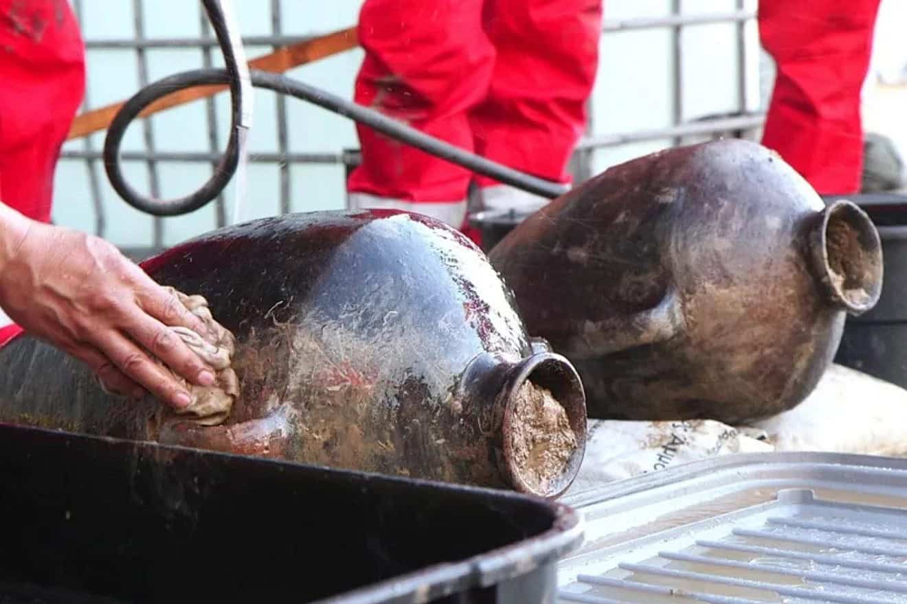 Canaanite jars are exposed to daylight after more than 3,300 years on the bottom of the Mediterranean Sea. Photo: Emil Aladjem / Israel Antiquities Authority.