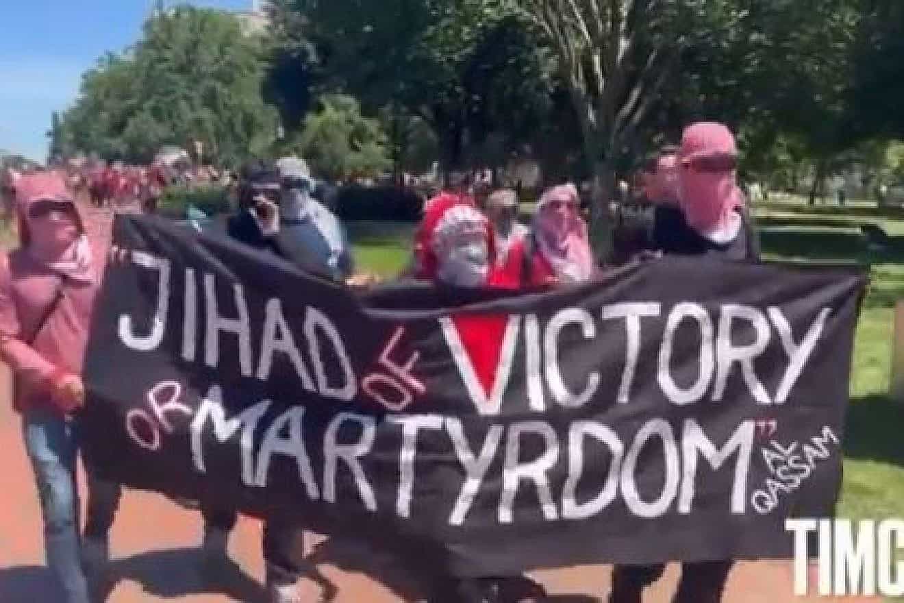 Protesters in support of terror groups Hamas and Hezbollah gather near the White House in Washington, June 8, 2024. Source: X.