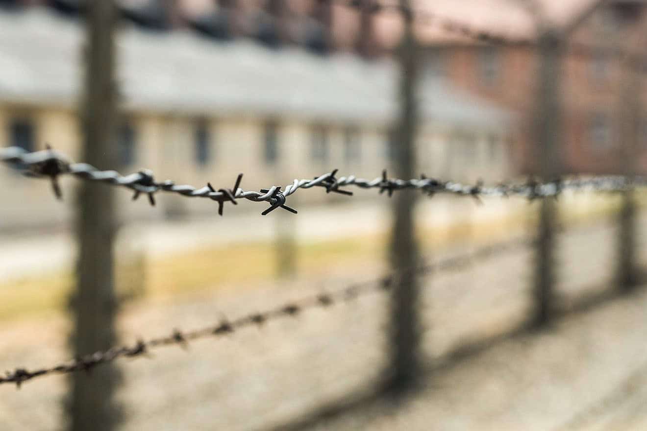 Barbed wire at Auschwitz. Credit: Luke L./Pixabay.