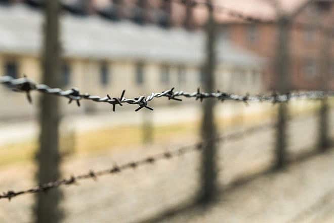 Barbed wire at Auschwitz. Credit: Luke L./Pixabay.