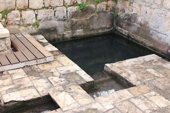 Ein Chubela is an ancient spring in the Judean Hills overlooking the valley where David killed Goliath. Photo by Shlomo Vile.
