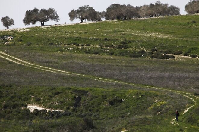 Gilad Farm settlement in Judea and Samaria. Photo by Nati Shohat/Flash90.