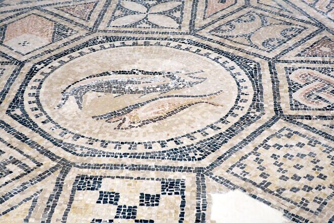 A portion of the mosaic, dated to about the year 230, on view in the exhibit "The Megiddo Mosaic: Foundations of Faith" at the Museum of the Bible in Washington, D.C., on Sept. 15, 2024. Photo by Menachem Wecker.