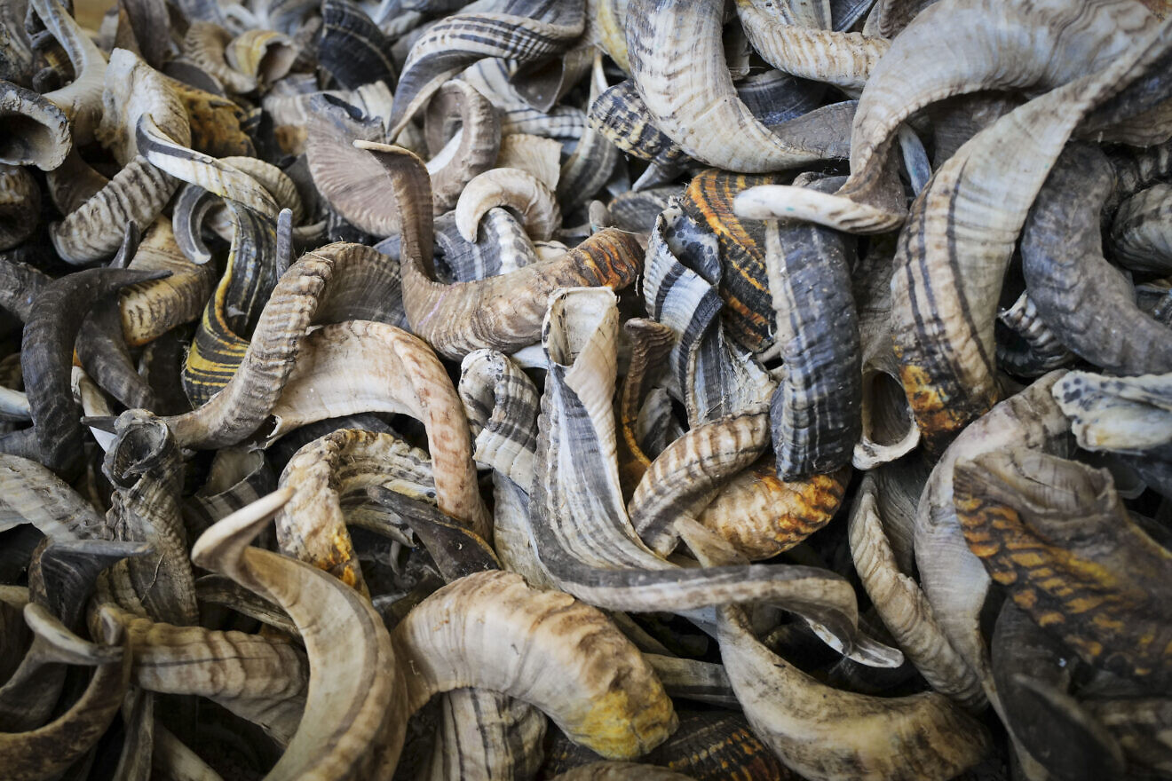 Items from the Kol Shofar workshop, owned by shofar specialist Shimon Keinan, in Givat Yoav in the southern Golan Heights, Sept. 30, 2024. Photo by Michael Giladi/Flash90.