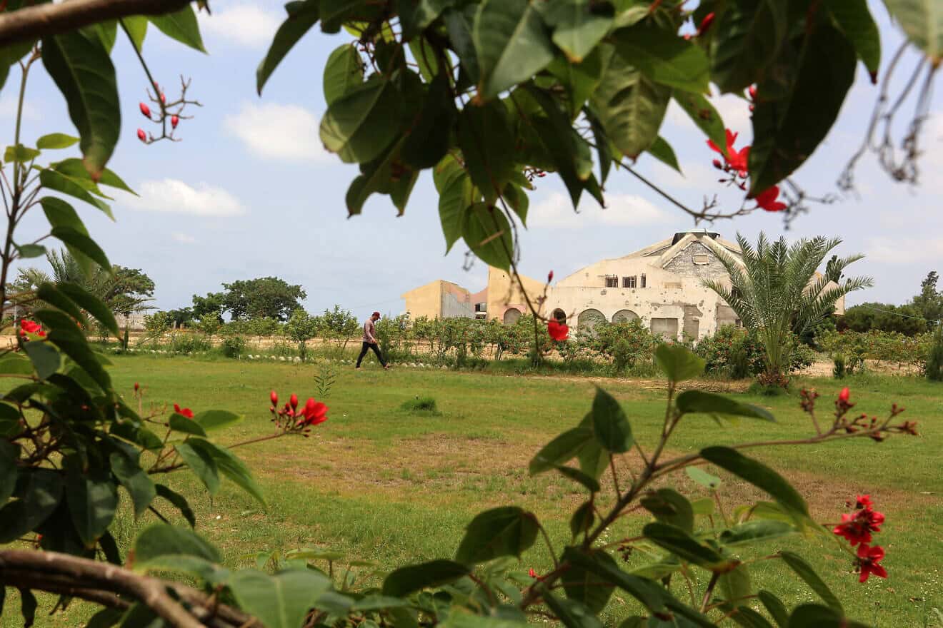 View of structures left over from the former Jewish community of Gush Katif in the southern Gaza Strip on July 27, 2020. Photo by Abed Rahim Khatib.
