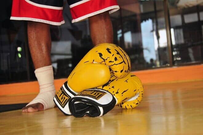 Boxer and gloves. Credit: Mac Kenzie/Pixabay.