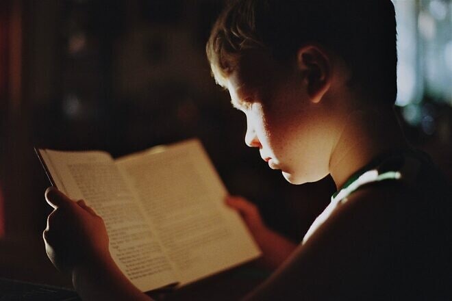 Boy reading a book. Credit: Sabrina Eickhoff/Pixabay.