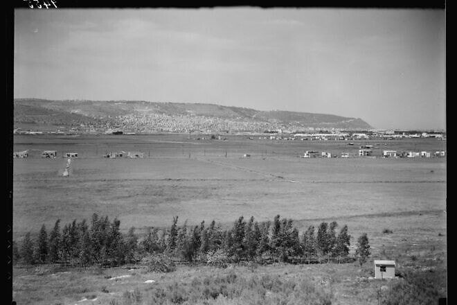 Haifa and Mount Carmel in the 1930s. Credit: G. Eric and Edith Matson Photograph Collection/Library of Congress.