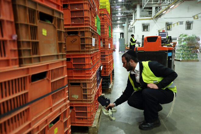 A mashgiach, kosher certifier, seen during a visit at "Bikurey Hasade" Israel's leading company for growing, marketing and distributing fresh fruits and vegetables, March 20, 2016. Credit: Yaakov Naumi/Flash90.