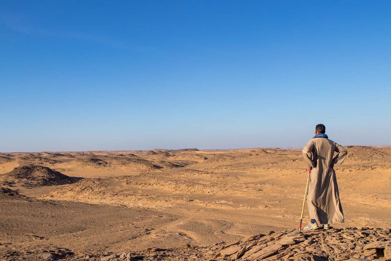 Desert sands. Credit: Squirrel_Photos/Pixabay.