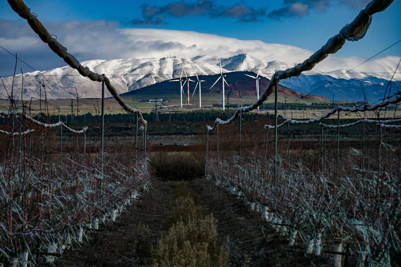 View of the snow-peaked Syrian Mount Hermon as seen from Kibbutz Ein Zivan in the northern Golan Heights, Feb. 23, 2025. Photo by Michael Giladi/Flash90.