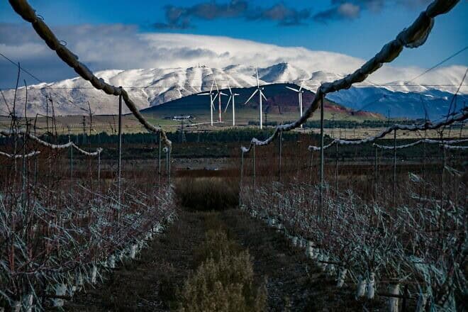 View of the snow-peaked Syrian Mount Hermon as seen from Kibbutz Ein Zivan in the northern Golan Heights, Feb. 23, 2025. Photo by Michael Giladi/Flash90.