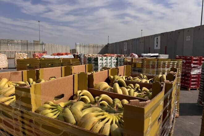 Humanitarian aid destined for the Gaza Strip, January 2025. Source: @cogatonline/X.