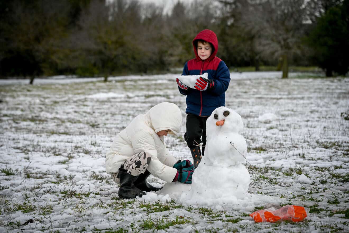 Snow in Hermonit, El-Rom, in the northern Golan Heights, on Feb. 6, 2025. Photo by Michael Giladi/Flash90.