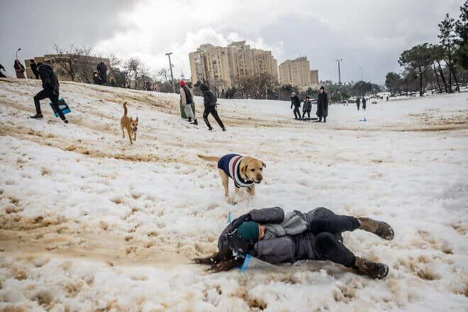 Israelis play in the snow in Sacher Park in Jerusalem, as a heavy storm hits nationwide, Jan. 27, 2022. Photo by Yonatan Sindel/Flash90.