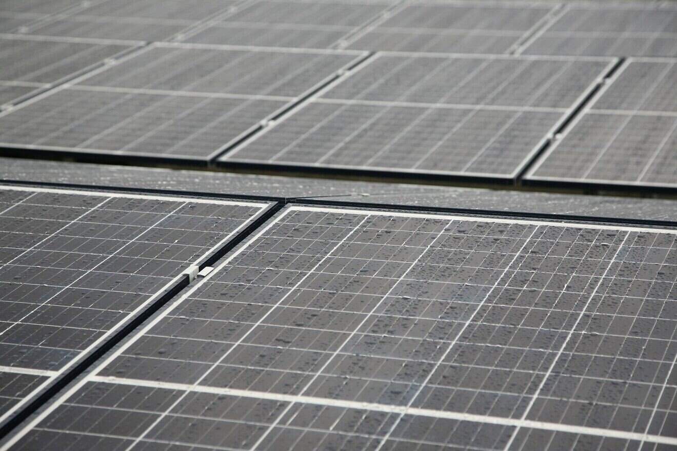 Solar panels. Credit: Klas_lu/Pixabay.