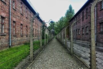 Auschwitz. Credit: Pixabay.