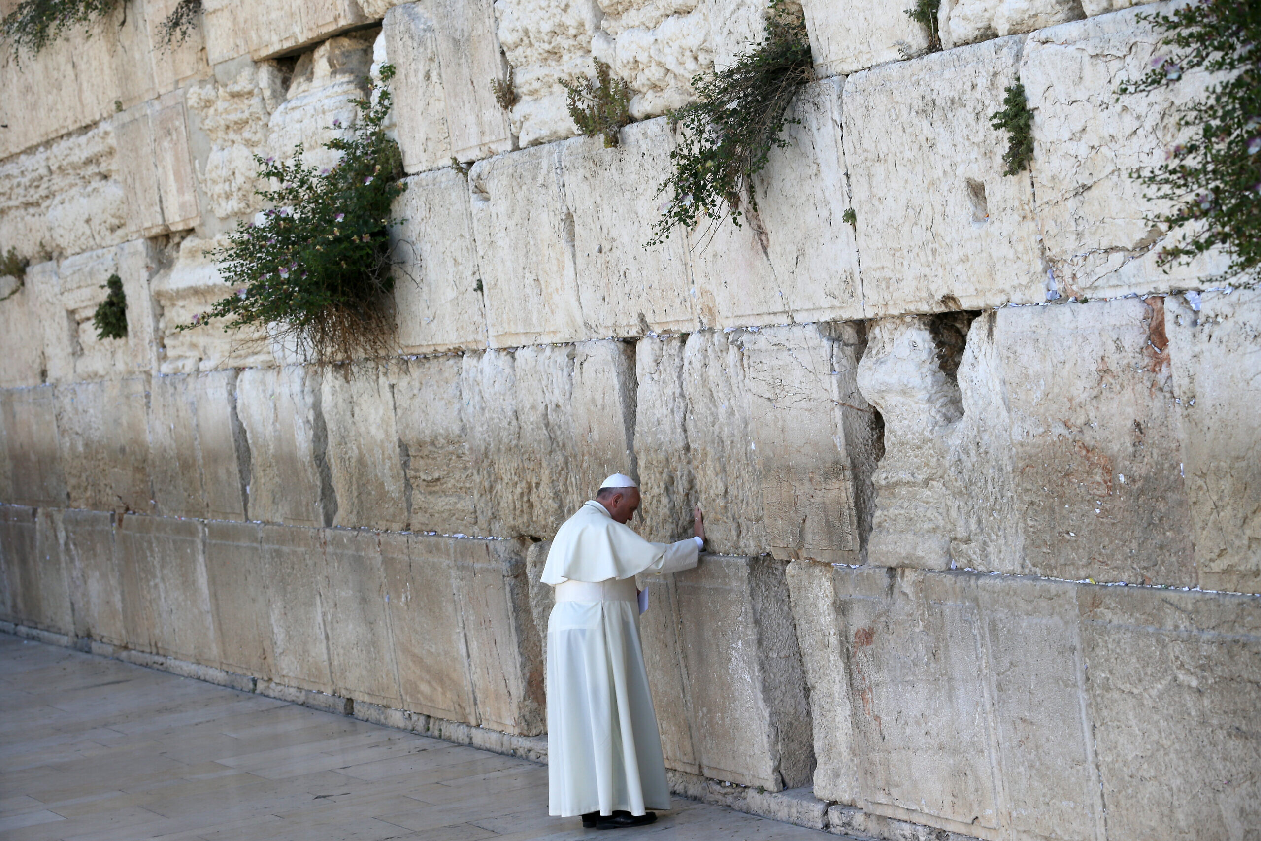 Pope Francis
