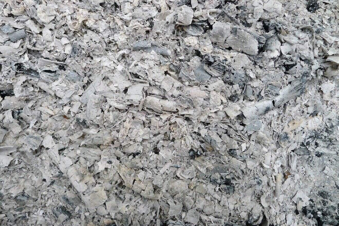 Pile of ash. Credit: Laurentius via Wikimedia Commons.